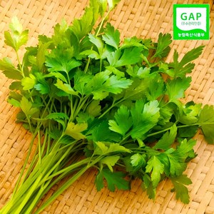 [GAP인증] 당일수확 산지직송 순천만 세척미나리, 1박스, 1kg