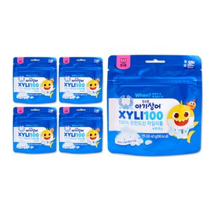 핑크퐁 아기상어 자일리100 핀란드 100% 자일리톨 40g 유아 어린이, 5개