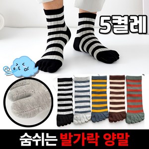식스앤쇼핑 숨쉬는 남자 발가락양말 5켤레