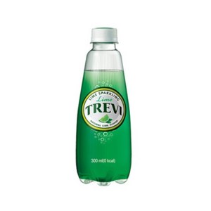 롯데칠성음료 트레비 라임 펫, 20개, 300ml