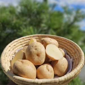 농장직송 국내산 강원도특산 분감자 두백감자, 1개, 감자S(중) 3kg