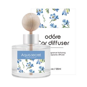 오도르 카 디퓨저 120ml, 아쿠아시크릿, 1개
