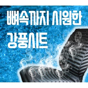 자동차 통풍시트 강풍 냉풍 쿨링시트 사무실 12v 24v 공용