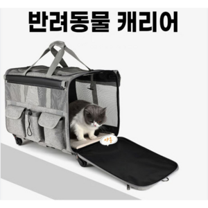 골드 반려동물 캐리어가방, 블루