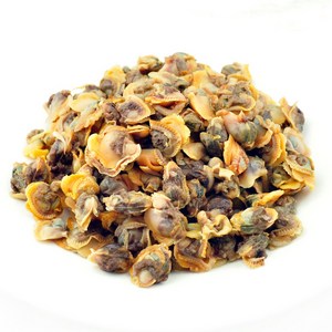 통통 벌교 자숙 꼬막살 1kg, 1개