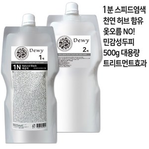 듀이 Dewy 스피드 퀵터치 덕용 대용량 염색약 N1 흑갈색 1제 500g+2제 500g /2025년제조, 1개