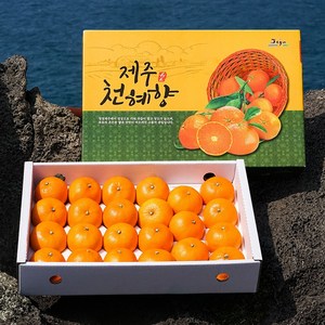 [인하네] 품질보증 제주 천혜향 3kg 5kg, 1박스, 천혜향_3kg_가정용(작은향)