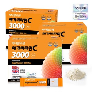 초당약품 비타블로썸 메가비타민C 3000 파인, 360.36g, 3개