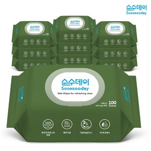 대용량 가성비 물티슈 순수데이 스탠다드 100매 10팩 캡형 저자극 안전한, 100개입, 10개, 35g