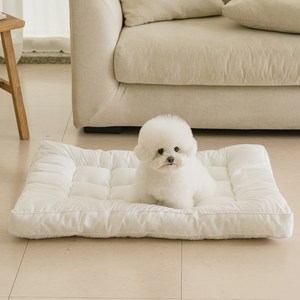 뭉연구소 통세탁 사계절 양면 강아지 고양이 방석 반반 토퍼, 1개, 화이트