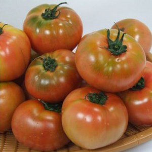 행복한 농부 정품 찰토마토 /5kg 토마토 드시고 건강하세요, 5kg(중소과), 1개