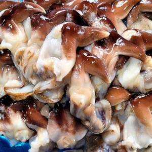 산지직송 자연산 여수 새조개 2kg 실중량 500 내외, 1개