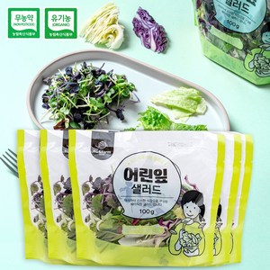 휴엔팜 친환경 샐러드 야채 식단 관리 100gX5팩(5종 중 1세트), 100g, 5개, 친환경 어린잎 샐러드