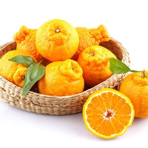 당도보장 제주직송 못난이 한라봉 꼬마한라봉 천혜향 카라향, 1박스, 2.5kg, 한라봉(노지)못난이혼합과