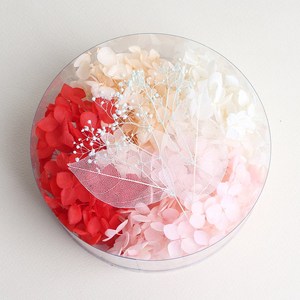 화연양화 시그니처 4색조합 프리저브드수국 레진아트 DIY 캘리 다꾸 재료, 1 레드핑크