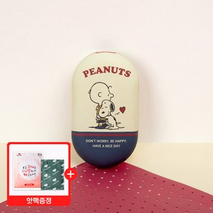 (핫팩증정)손난로보조배터리 양면발열손난로 충전식손난로 캐릭터손난로 디즈니손난로 산리오손난로 미니언즈손난로 도라에몽손난로 쿠로미손난로 푸손난로 usb충전용, 스누피손난로-찰리n스누피(핫팩증정)