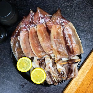 푸드비트 국산 구룡포 피데기 반건조오징어 350g 450g 550g 5미 1세트 2세트