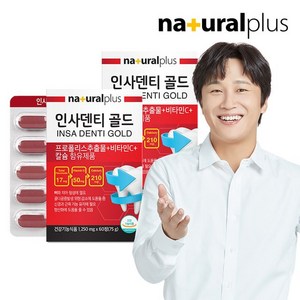 내츄럴플러스 내츄럴플러스 인사덴티 60정 2박스 (4개월분), 2개, 단일옵션, 60개