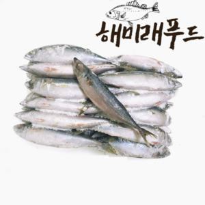 [바다미래] 국내산 고등어 냉동고등어 골라담기 10kg (40-50미), 옵션1. 국내산 고등어 10kg 골라담기, 1개