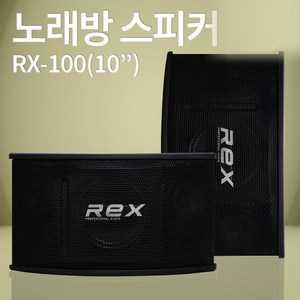 노래방스피커 REX STM 3종(6/8/10인치) 매장 카페 업소 가정용 1조(2개), 10인치 (RX-100)
