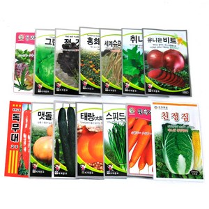 상추 씨앗 채소 씨앗 쌈채소 모듬상추 베란다 텃밭 열매 채소 약초 씨앗 희귀 씨앗 모음, 04_이색종자, 14_세계달래종패(400립), 1개