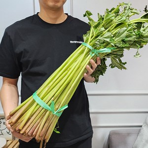 자연산 머위대 산지직송 4kg 머위 머구대 머윗대 봄나물 산나물, 1개