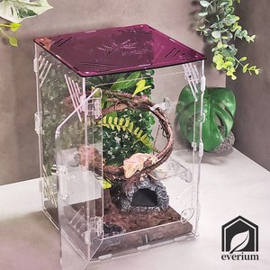 에버리움 크레스티드 게코 도마뱀 아크릴 사육장 세트 - 소형 20x20x30cm, 1세트, 와인썬셋