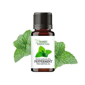 페퍼민트 에센셜 오일, 10ml, 1개