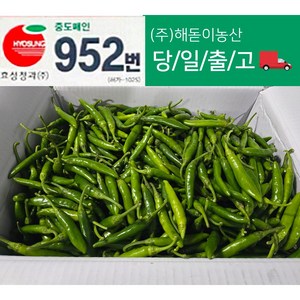 해돋이농산 국내산 청양고추 매운고추 못난이고추 1kg 2kg 3kg 5kg 10kg반홍(상세페이지참조), 1개