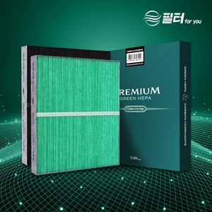 필터포유 프리미엄 그린 자동차 에어컨 히터 필터 아반떼 AD / 코나 EV / i30 / K3 BD / K3 GT / 더뉴 아이오닉, CFUP211, 2개