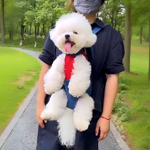 포오포오 애견 강아지 이동가방 슬링백 백팩, 1개, 블루