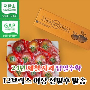 [고당도 당도선별] 껍질째 먹는 경북 홍로 씻은사과 2kg 3kg 5kg 세척사과 소과 중과 대과, 1개, 2kg 중과 (9-11입)