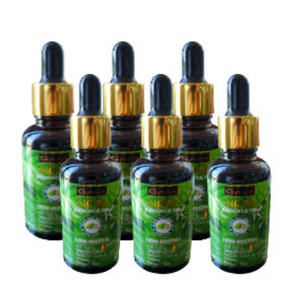 가이아(GAEA) 노니 씨드 에센스 오일, 6개, 30ml
