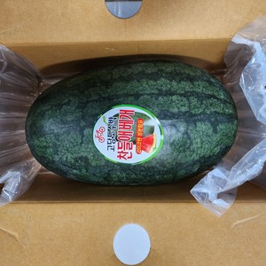 고당도 함안 베개수박 5kg 이상 산지직송, 1개