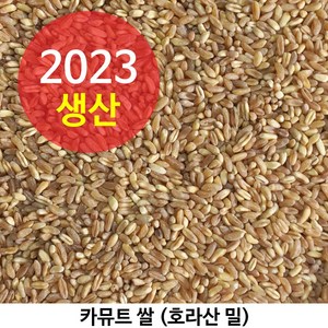 2023년산 카뮤트 호라산밀 다이어트와 당뇨에 좋은 슈퍼푸드 카뮤트쌀 4kg 절식