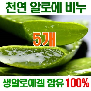 [오후5시 당일발송] 고농축 알로에비누 촉촉촉 보습진정 에너지 생 알로에천연비누 세수비누 비누 알로에 세안비누 천연 얼굴 YB맘, 100mg, 5개