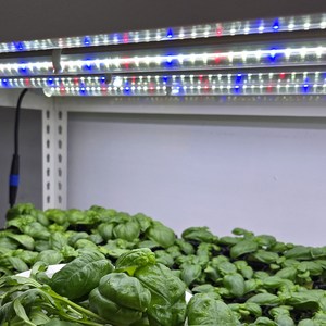 스마트 그로우 LED 식물등 삼성 2025신제품 인공 광합성 수경재배 식물조명등, 120cm