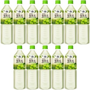 가야)정성담은청포도1Lx12개, 12개, 1L
