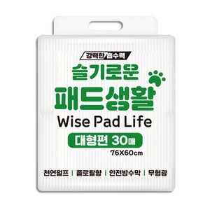 슬기로운패드(대형), 30개입, 1개