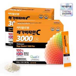 비타블로썸 메가비타민 C3000 파인 120포 X2개, 360.36g, 2개