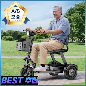 골든모션 노인 전동차 오토바이 전기 스쿠터 전동 산책 삼발이 3륜 삼륜 전동카 어르신 배터리, 48V/15A(주행가능거리60km)