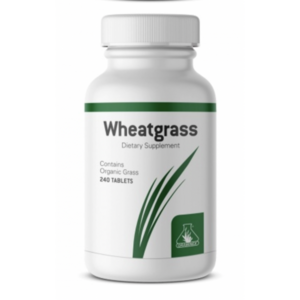 Graminex 그라미넥스 위트그레스 새싹밀 240정, 1개