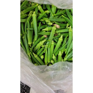 싱싱한 오크라 1kg/ 국내산/아시아 농장 송소희, 1kg, 1개
