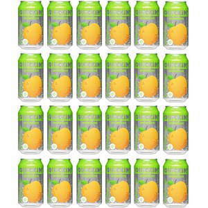 던킨 제로 스파클링 배, 350ml, 24개