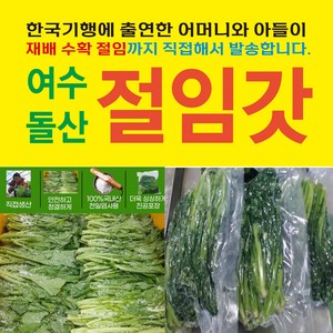 여수돌산절임갓 절임갓 10kg, 1개