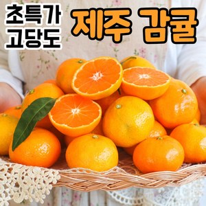[정품] 제주 제주도 서귀포 산지직송 고당도 노지 하우스 귤 감귤 밀감 카라향, 1박스, 3kg(혼합)