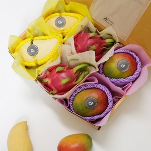 특별한 선물 당일발송 프리미엄 과일선물세트 열대과일혼합 망고랑 용과랑 선물세트