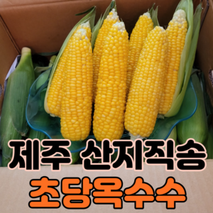 제주 해남 산지직송 달달 초당 옥수수 특 미니 5개 10개 20개, 제주초당옥수수 특품 5개