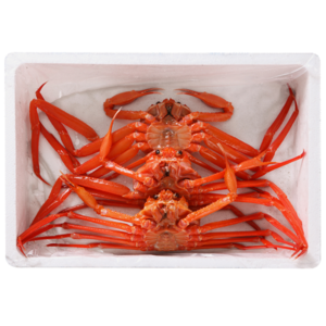 홍게 특A급 수율 80% 산지직송 박달홍게, 1개, 특A급 3kg (10미 내외)
