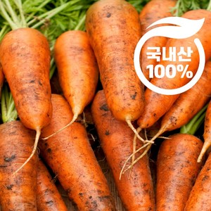 제주 솔이네 국내산 햇 당근 2kg 3kg 5kg10kg 쥬스용 흙 경남 산지직송, 햇당근 (상) 2kg
